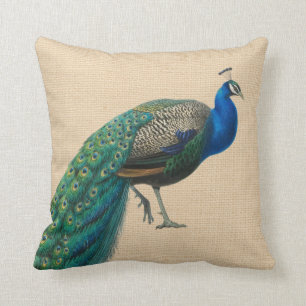 Peacock Pillow Colorful