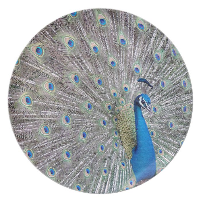 Peacock Plate