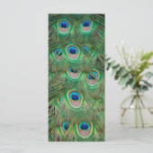 Peacock plumage (Standing Front)