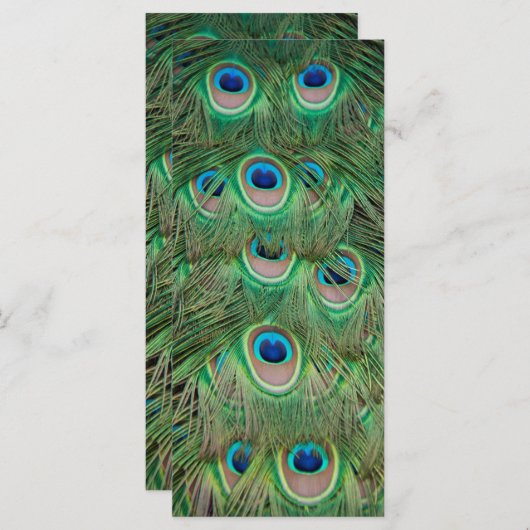 Peacock plumage (Front/Back)