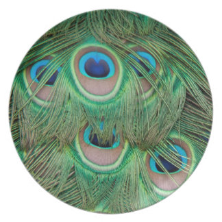 Peacock Plates | Zazzle