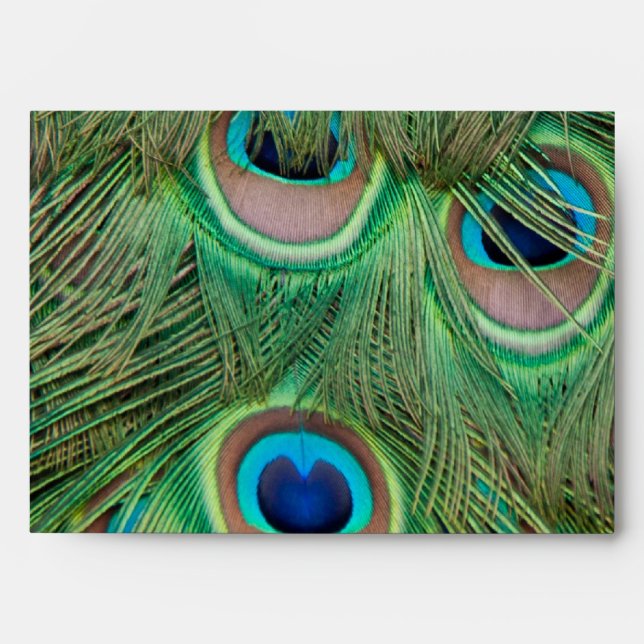 Peacock plumage envelope (Front)