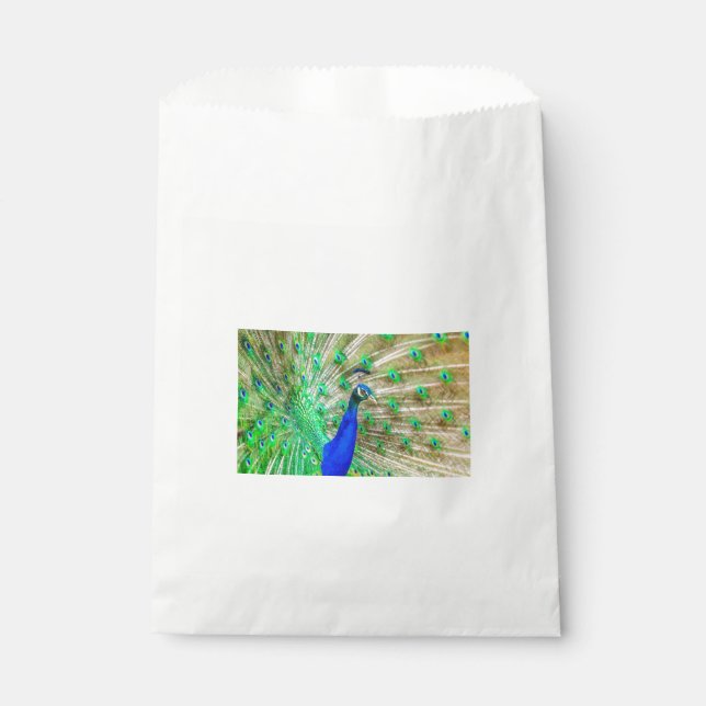 Peacock Plumage Favor Bag (Front)