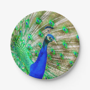 Peacock Plumage Paper Plates