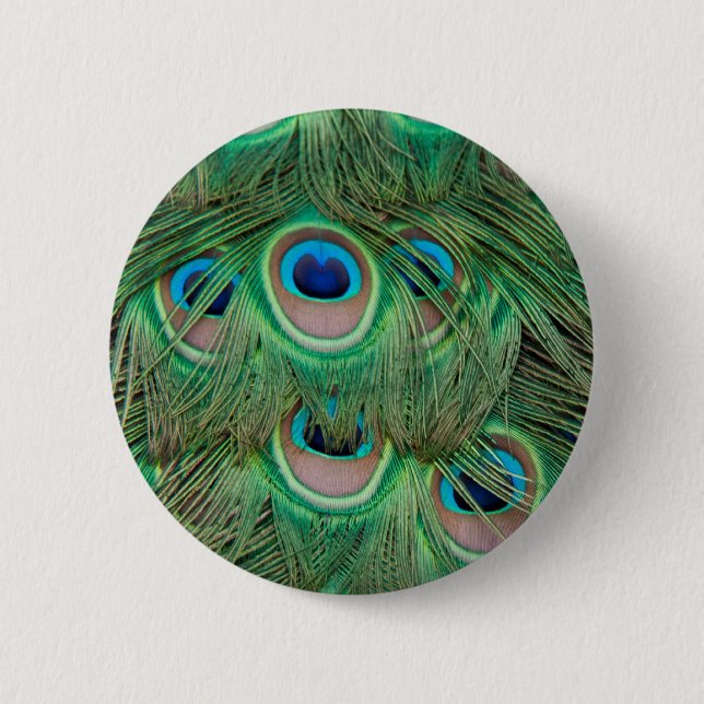 Peacock plumage pinback button (Front)