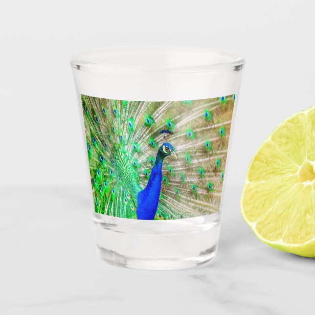 Peacock Plumage Shot Glass (Front)