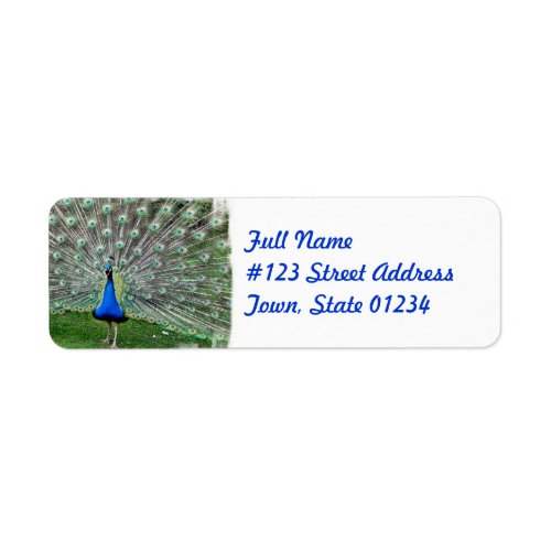 Peacock Plume Mailing Label