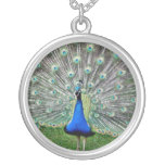 Peacock Plume Necklace