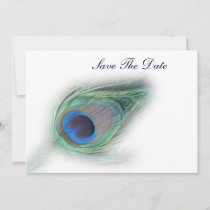 Peacock Plumes save the date