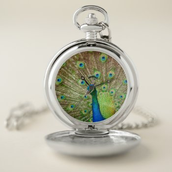 Peacock Pocket Watch by PixLifeBirds at Zazzle