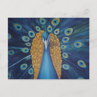 Peacock Postcard
