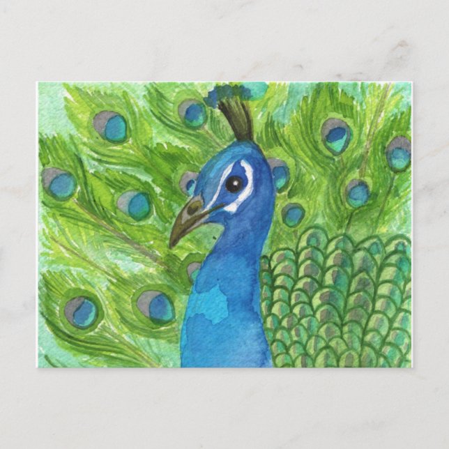 Peacock Postcard (Front)