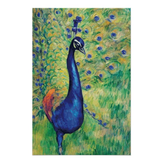 Peacock - Poster (Front)