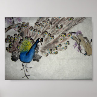 Peacock Poster