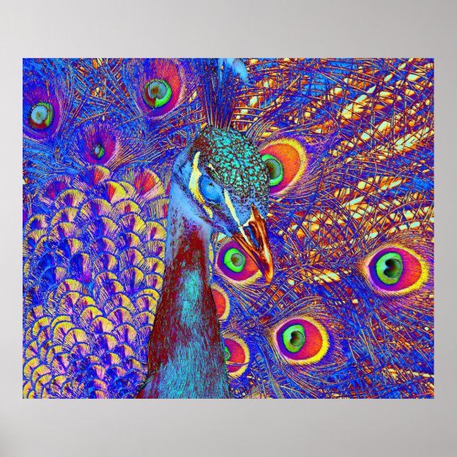 Peacock Poster (Front)