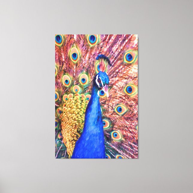 PEACOCK POWER SHOWOFF CANVAS PRINT (Front)