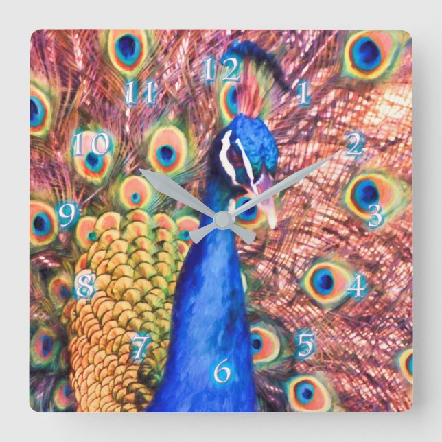 PEACOCK POWER SHOWOFF SQUARE WALL CLOCK (Front)