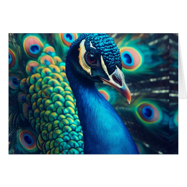 Peacock Profile Blank Inside Cards (Front Horizontal)