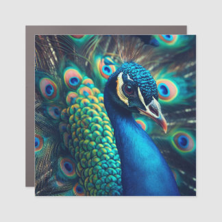 Peacock Profile Car Magnet