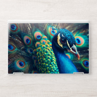 Peacock Profile HP Laptop Skin