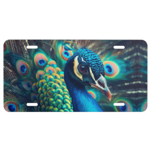 Peacock Profile License Plate
