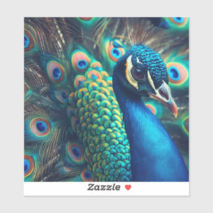 Peacock Profile Sticker