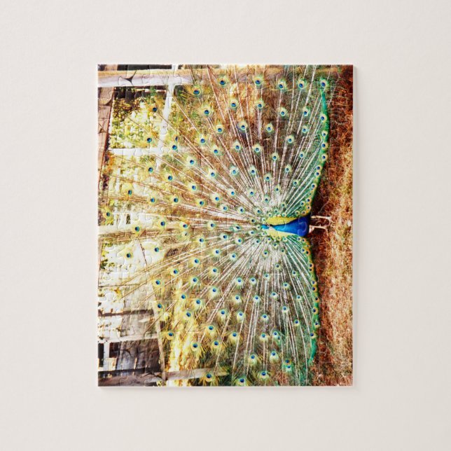 Peacock Puzzle (Vertical)