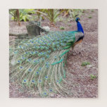 Peacock puzzle<br><div class="desc">Live photo of peacock turned into a favorite hobby</div>