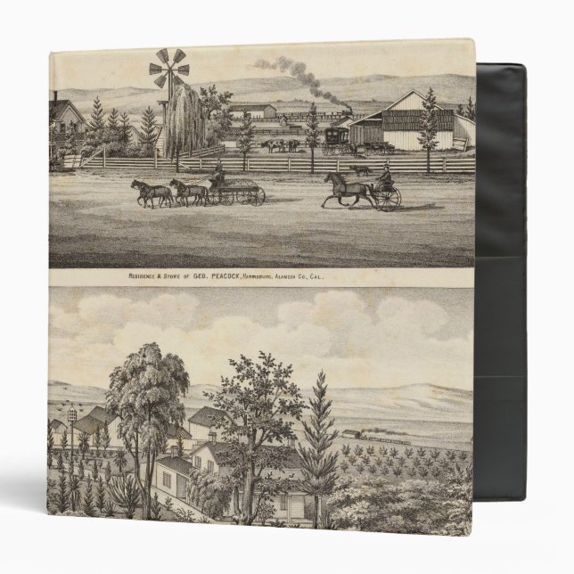 Peacock res, Willow Glen 3 Ring Binder (Front/Inside)