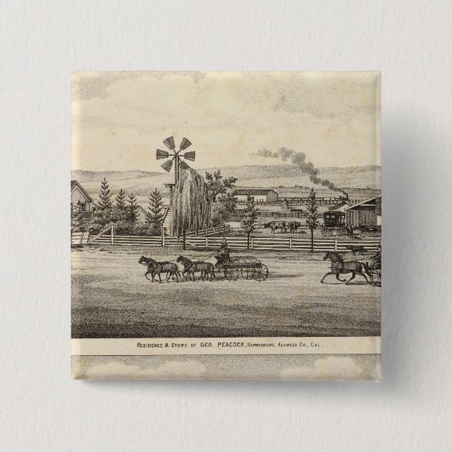 Peacock res, Willow Glen Pinback Button (Front)