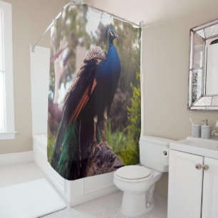 Peacock Rock Shower Curtain