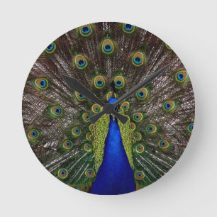 Peacock Round Clock