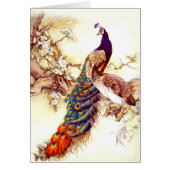 Peacock Royal (Front)