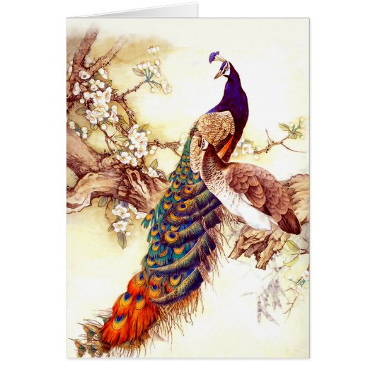 Peacock Royal Cards (Front)