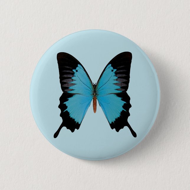 Peacock Royal Pinback Button (Front)