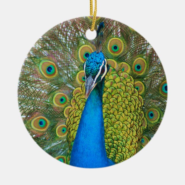 Peacock S9K.jpg Ceramic Ornament (Front)