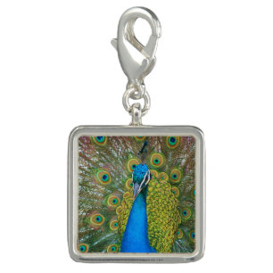 Peacock S9K.jpg Charm