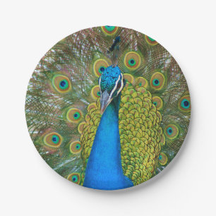 Peacock S9K.jpg Paper Plates