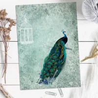 Peacock Scrapbook Paper