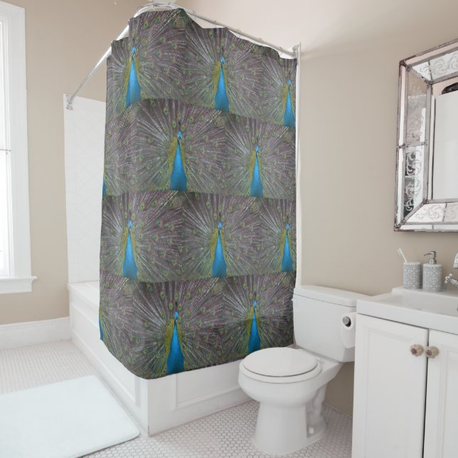 Peacock Shower Curtain (In Situ)