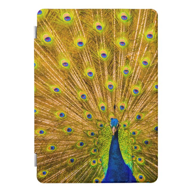 Peacock, Silver Falls, Kauai, Hawaii iPad Pro Cover (Front)