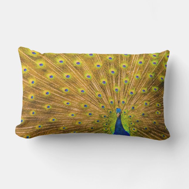 Peacock, Silver Falls, Kauai, Hawaii Lumbar Pillow (Front)