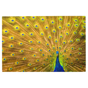Peacock, Silver Falls, Kauai, Hawaii Metal Print