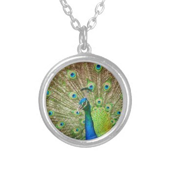 Peacock Silver Plated Necklace by PixLifeBirds at Zazzle