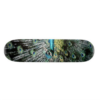 PEACOCK SKATEBOARD