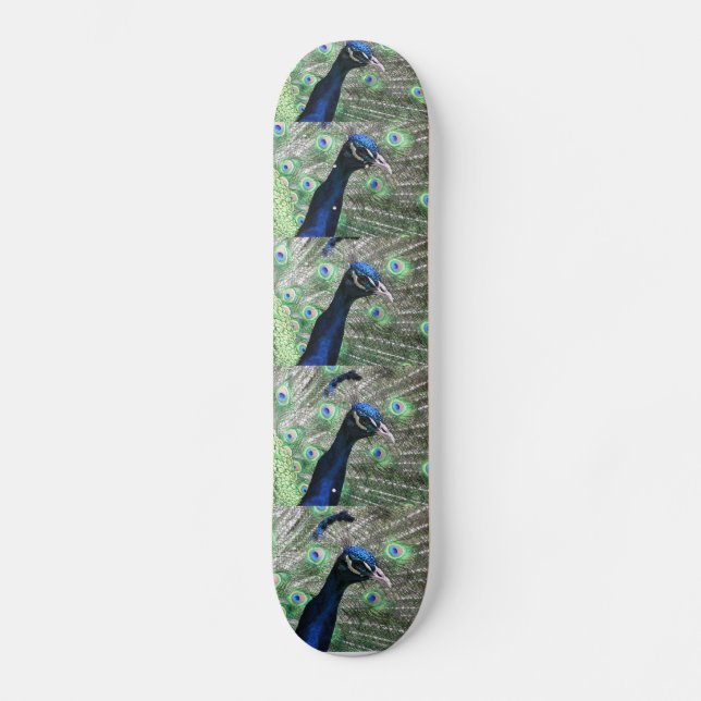 PEACOCK SKATEBOARD DECK (Front)