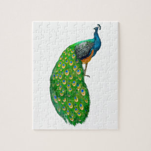 Peacock Small Jigsaw Puzzle