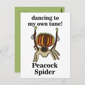 Peacock Spider Funny Postcard