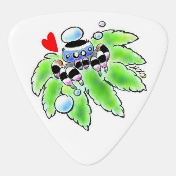 Peacock Spider Guitar Pick by mirai_moon at Zazzle