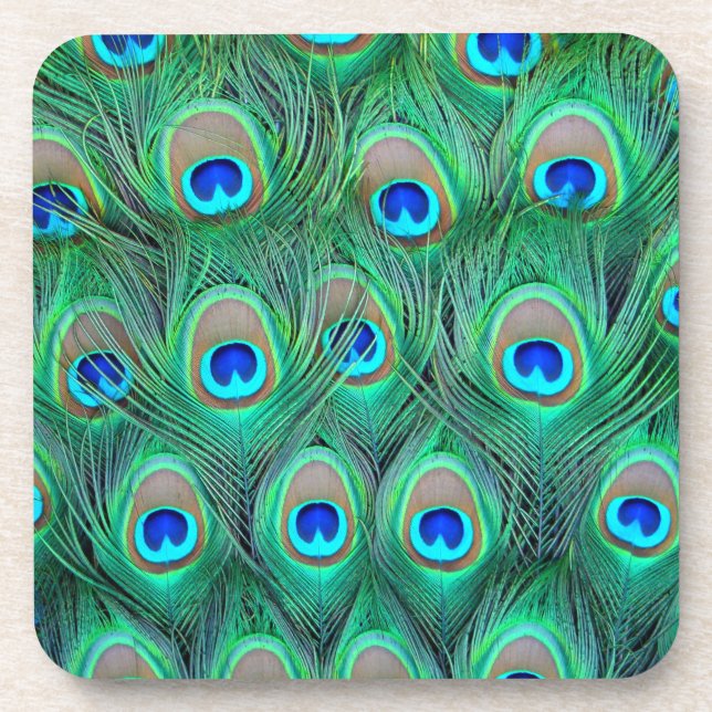 Peacock Splendor Beverage Coaster (Front)